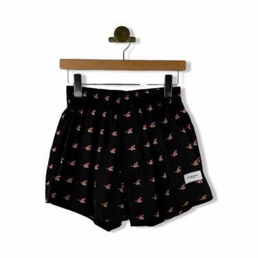 Curated Basics T-Rex Boxers