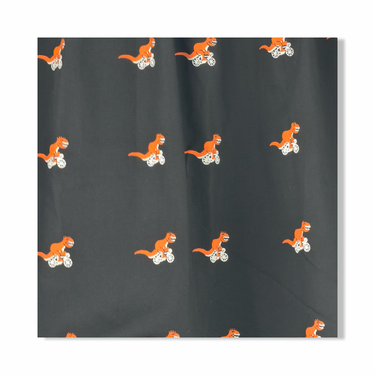 Curated Basics T-Rex Boxers