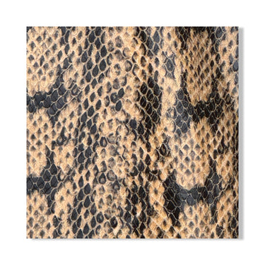Danielle Berstein Faux Snake Pants