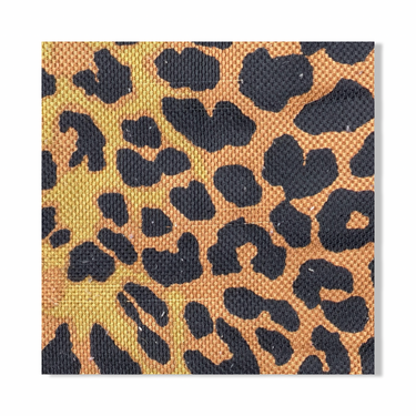 Tuckernuck Leopard Print Shift Dress