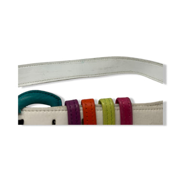 Vintage R.J. Graziano Multicolor Buckle Thin Belt