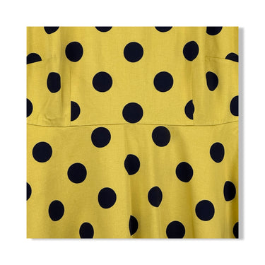 Hobbs Polka Dot Dress