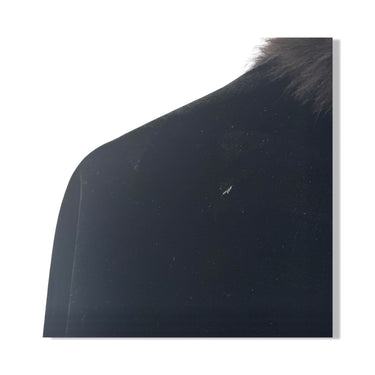 Adrienne Landau Velvet Fur Trim Jacket