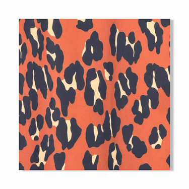 Rachel Comey Leopard Print Dress