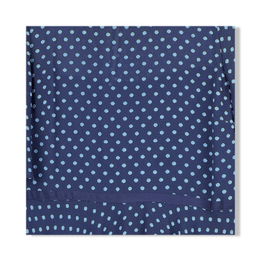 Hobbs Dotted Swiss Dress