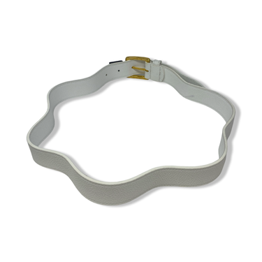 Anderson's Belt
